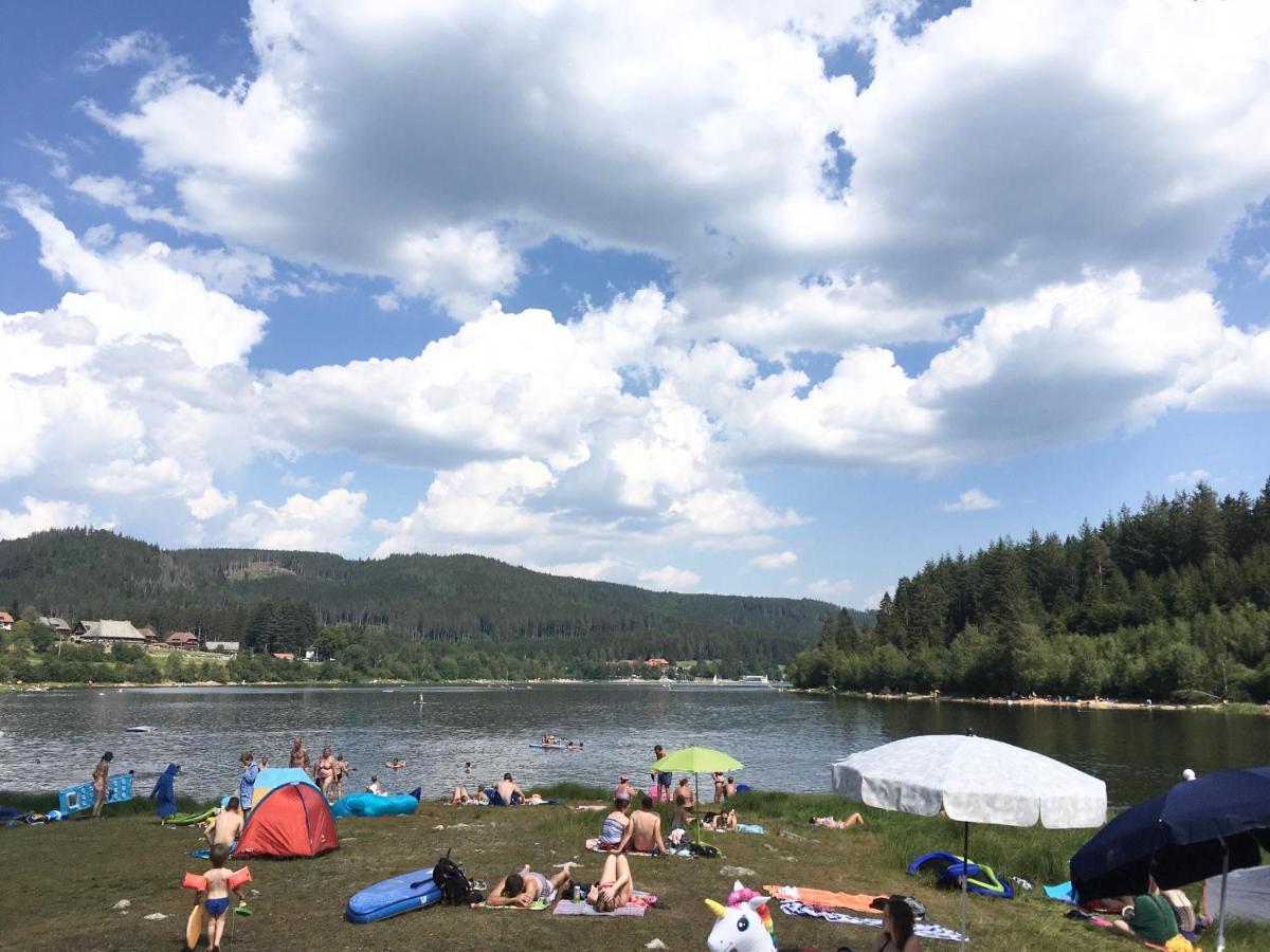 Zu Hause Am See - Pool, Sauna, Fitnessraum Schluchsee Exteriér fotografie
