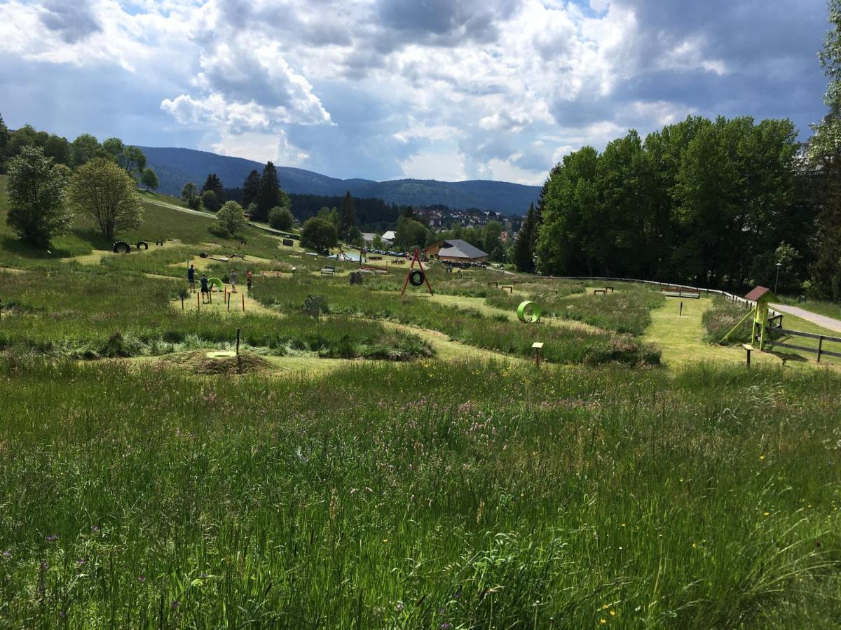 Zu Hause Am See - Pool, Sauna, Fitnessraum Schluchsee Exteriér fotografie