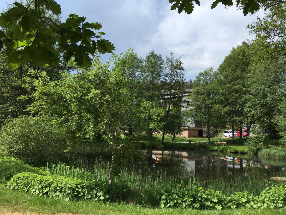 Zu Hause Am See - Pool, Sauna, Fitnessraum Schluchsee Exteriér fotografie